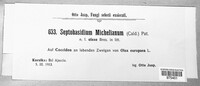 Septobasidium michelianum image